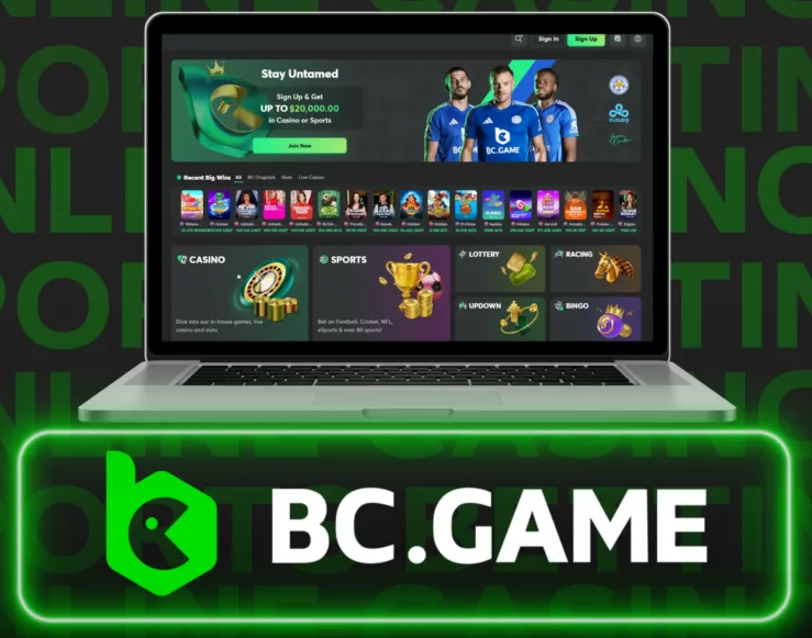 Exploring the Dynamic World of Bc.Game A New Era of Online Gaming